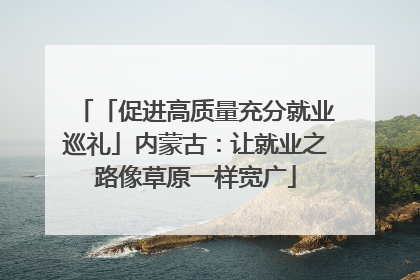 「促进高质量充分就业巡礼」内蒙古：让就业之路像草原一样宽广