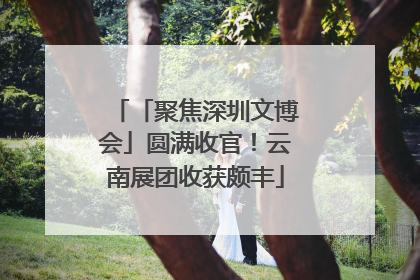 「聚焦深圳文博会」圆满收官！云南展团收获颇丰
