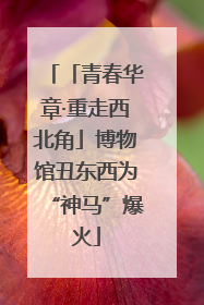 「青春华章·重走西北角」博物馆丑东西为“神马”爆火