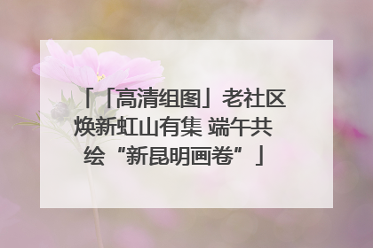 「高清组图」老社区焕新虹山有集 端午共绘“新昆明画卷”