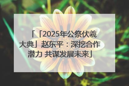 「2025年公祭伏羲大典」赵东平：深挖合作潜力 共谋发展未来