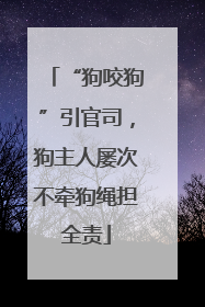 “狗咬狗”引官司，狗主人屡次不牵狗绳担全责
