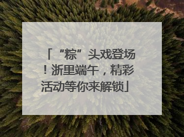 “粽”头戏登场！浙里端午，精彩活动等你来解锁