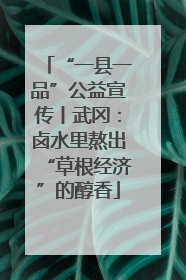 “一县一品”公益宣传丨武冈：卤水里熬出“草根经济”的醇香