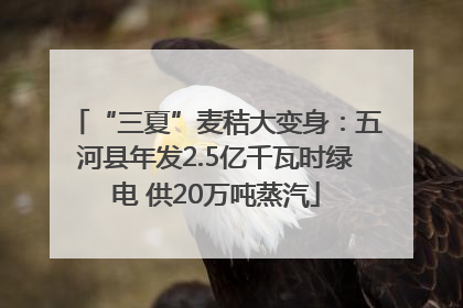 “三夏”麦秸大变身：五河县年发2.5亿千瓦时绿电 供20万吨蒸汽