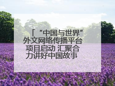 “中国与世界”外文网络传播平台项目启动 汇聚合力讲好中国故事 推进中外文明交流互鉴