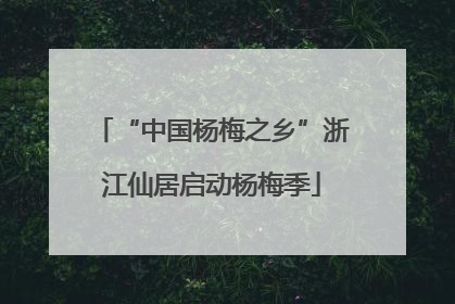 “中国杨梅之乡”浙江仙居启动杨梅季