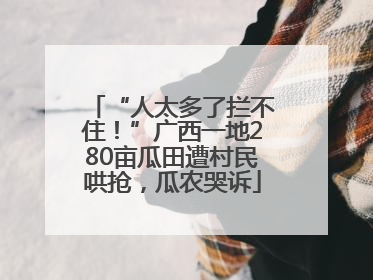 “人太多了拦不住！”广西一地280亩瓜田遭村民哄抢，瓜农哭诉