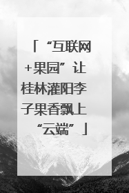 “互联网+果园”让桂林灌阳李子果香飘上“云端”