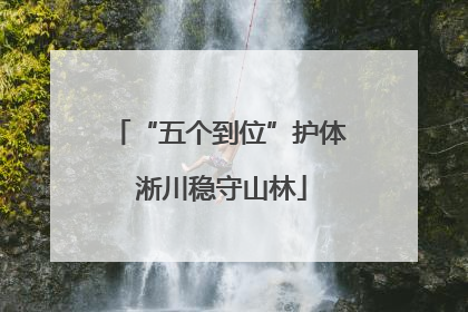 “五个到位”护体 淅川稳守山林