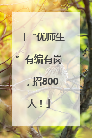 “优师生”有编有岗，招800人！