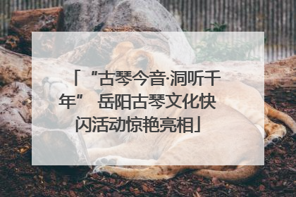 “古琴今音·洞听千年” 岳阳古琴文化快闪活动惊艳亮相