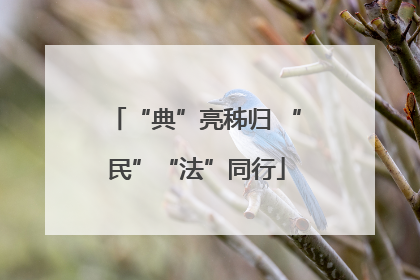 “典”亮秭归 “民”“法”同行