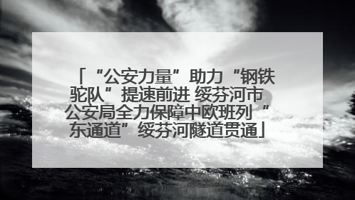 “公安力量”助力“钢铁驼队”提速前进 绥芬河市公安局全力保障中欧班列“东通道”绥芬河隧道贯通