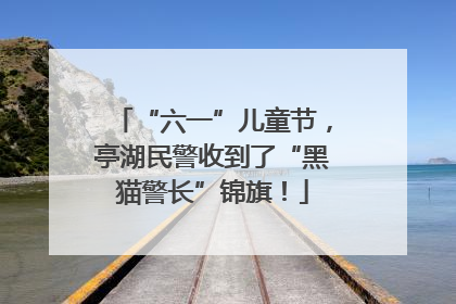 “六一”儿童节，亭湖民警收到了“黑猫警长”锦旗！