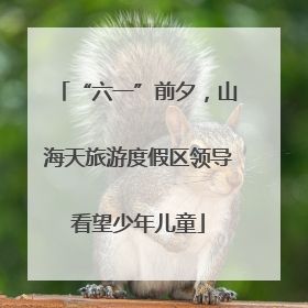 “六一”前夕，山海天旅游度假区领导看望少年儿童