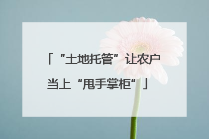 “土地托管”让农户当上“甩手掌柜”