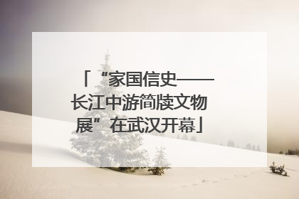 “家国信史——长江中游简牍文物展”在武汉开幕