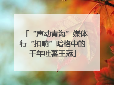 “声动青海”媒体行“扣响”暗格中的千年吐蕃王冠