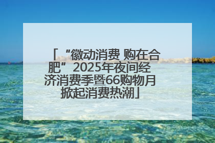 “徽动消费 购在合肥”2025年夜间经济消费季暨66购物月掀起消费热潮