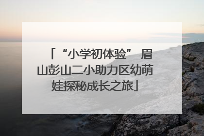 “小学初体验” 眉山彭山二小助力区幼萌娃探秘成长之旅