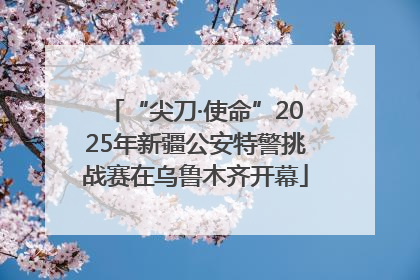 “尖刀·使命”2025年新疆公安特警挑战赛在乌鲁木齐开幕