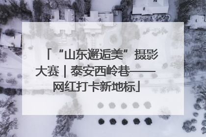 “山东邂逅美”摄影大赛｜泰安西岭巷——网红打卡新地标