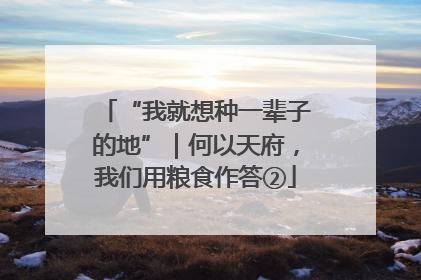 “我就想种一辈子的地”｜何以天府，我们用粮食作答②