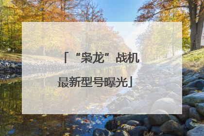 “枭龙”战机最新型号曝光