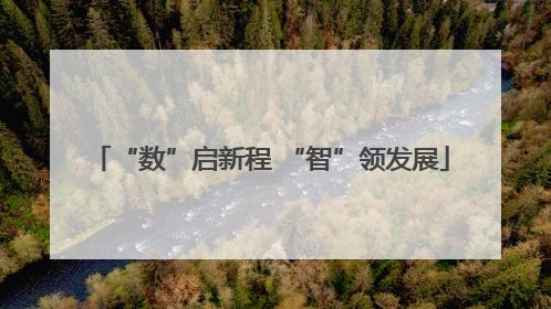 “数”启新程 “智”领发展