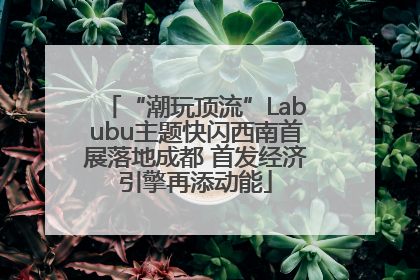 “潮玩顶流”Labubu主题快闪西南首展落地成都 首发经济引擎再添动能