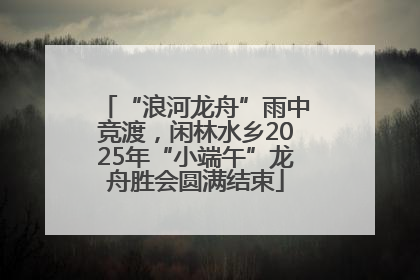 “浪河龙舟”雨中竞渡，闲林水乡2025年“小端午”龙舟胜会圆满结束