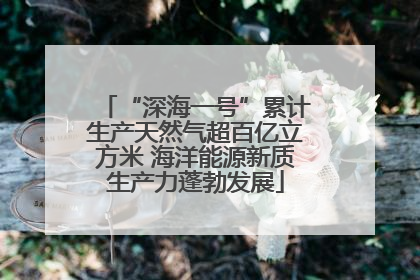 “深海一号”累计生产天然气超百亿立方米 海洋能源新质生产力蓬勃发展