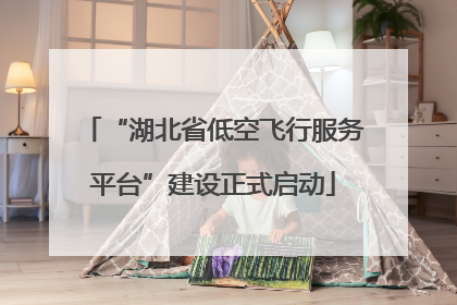 “湖北省低空飞行服务平台”建设正式启动