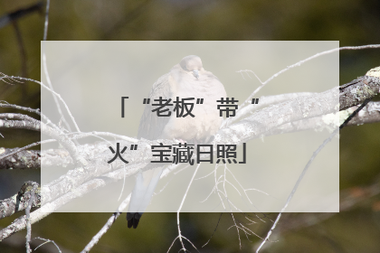 “老板”带“火”宝藏日照