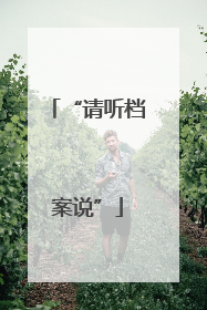 “请听档案说”