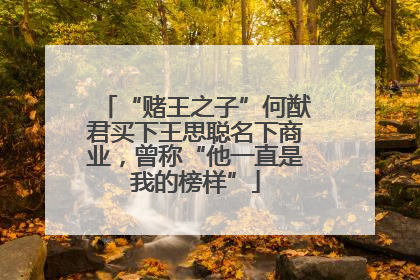 “赌王之子”何猷君买下王思聪名下商业，曾称“他一直是我的榜样”