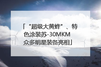“超级大黄蜂”、特色涂装苏-30MKM 众多明星装备亮相