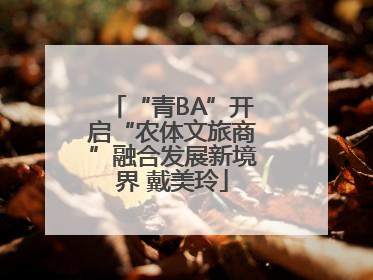 “青BA”开启“农体文旅商”融合发展新境界 戴美玲