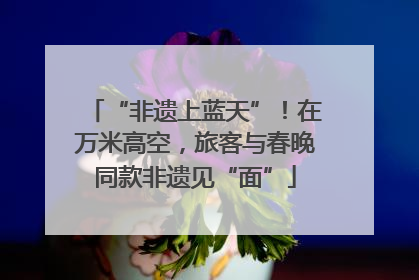 “非遗上蓝天”！在万米高空，旅客与春晚同款非遗见“面”