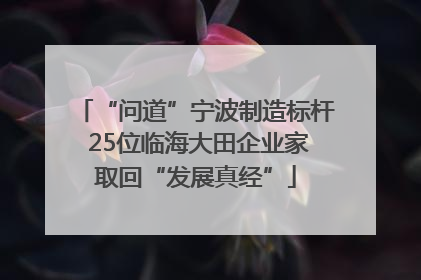 “问道”宁波制造标杆 25位临海大田企业家取回“发展真经”