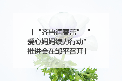 “齐鲁润春蕾”“爱心妈妈续力行动”推进会在邹平召开