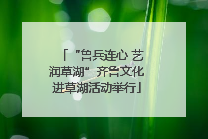 “鲁兵连心 艺润草湖”齐鲁文化进草湖活动举行