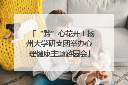 “黔”心花开！扬州大学研支团举办心理健康主题游园会