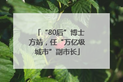 “80后”博士方靖，任“万亿级城市”副市长