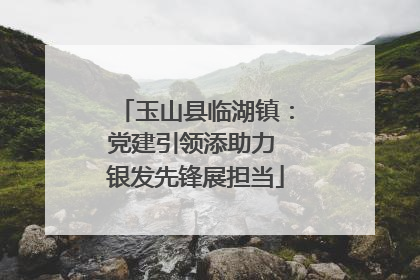 玉山县临湖镇：党建引领添助力 银发先锋展担当