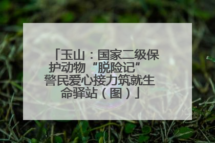 玉山：国家二级保护动物“脱险记” 警民爱心接力筑就生命驿站（图）