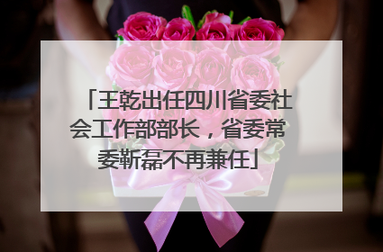 王乾出任四川省委社会工作部部长，省委常委靳磊不再兼任