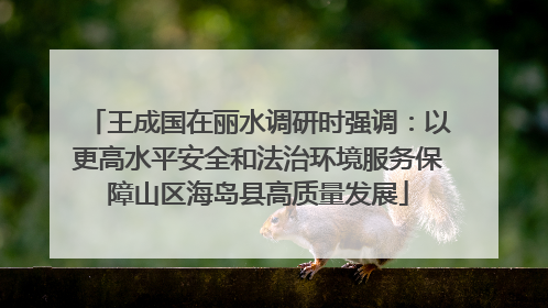 王成国在丽水调研时强调：以更高水平安全和法治环境服务保障山区海岛县高质量发展