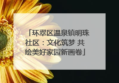 环翠区温泉镇明珠社区：文化筑梦 共绘美好家园新画卷